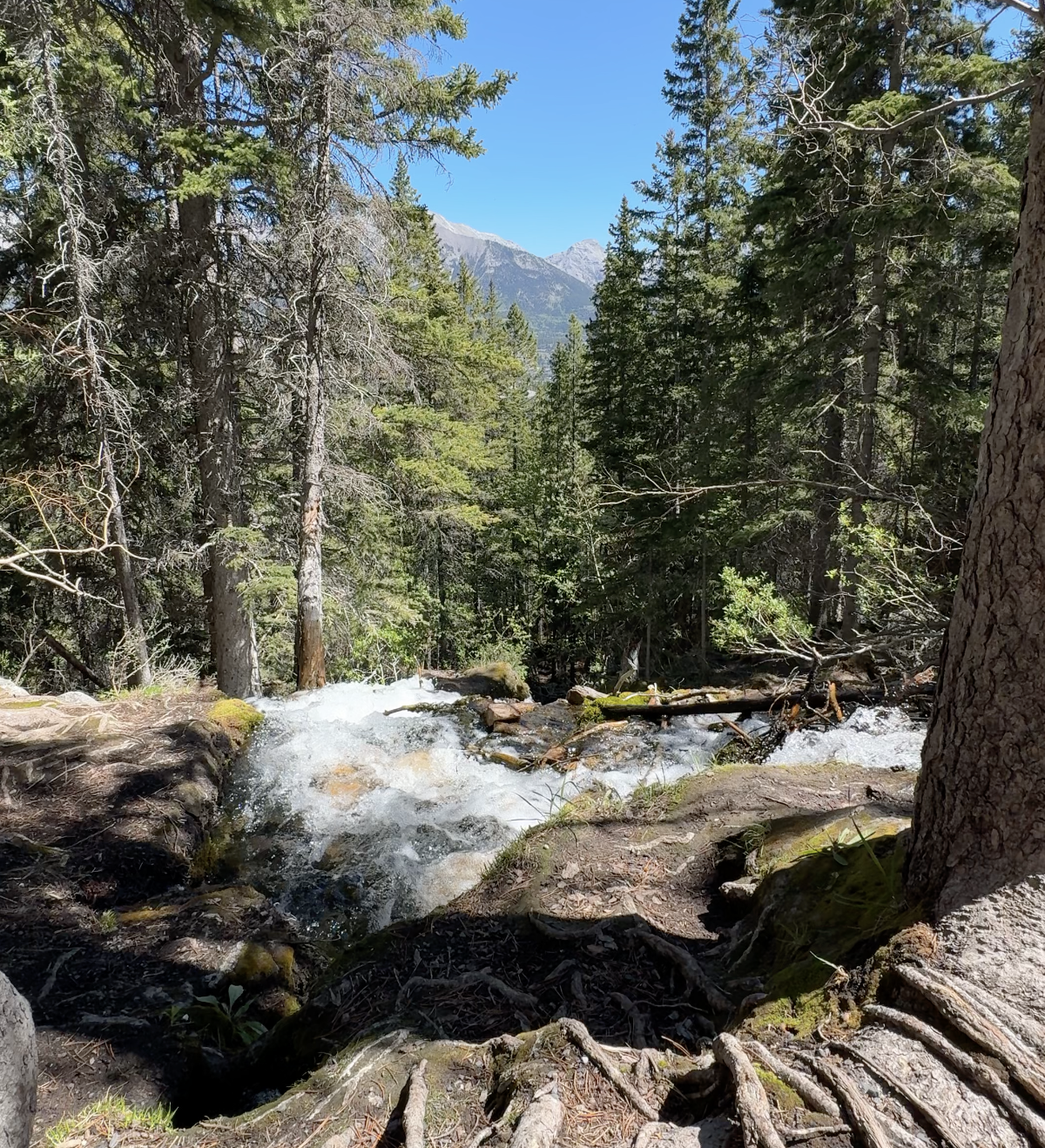 Sounds from a path on a hike in Canmore, Alberta in May 2025. The picture is screenshotted from the video the audio is from.